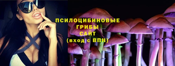 экстази Дмитриев
